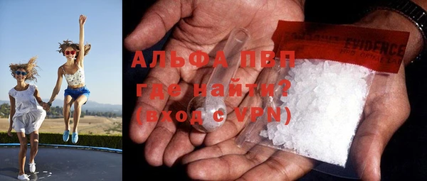 первитин Богданович