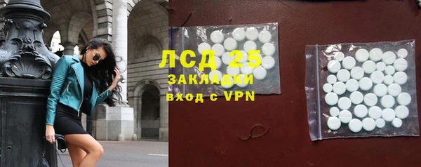молекула духа Богородицк