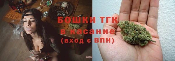 первитин Богданович