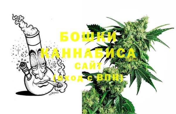 молекула духа Богородицк