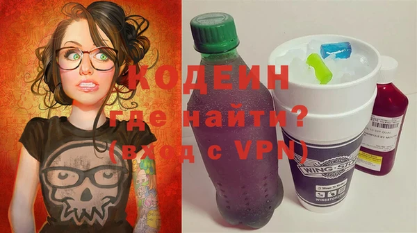 молекула духа Богородицк