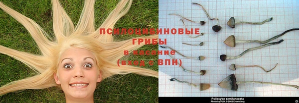 молекула духа Богородицк