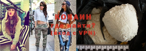 молекула духа Богородицк