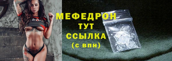 молекула духа Богородицк