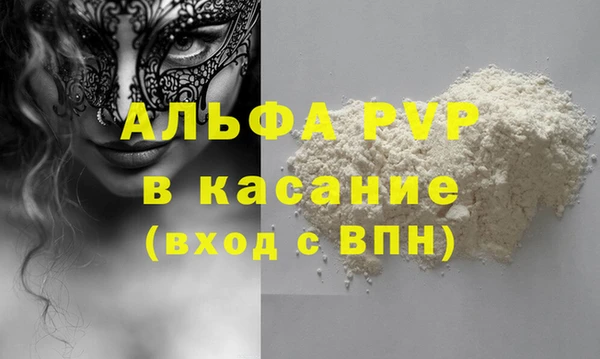 молекула духа Богородицк